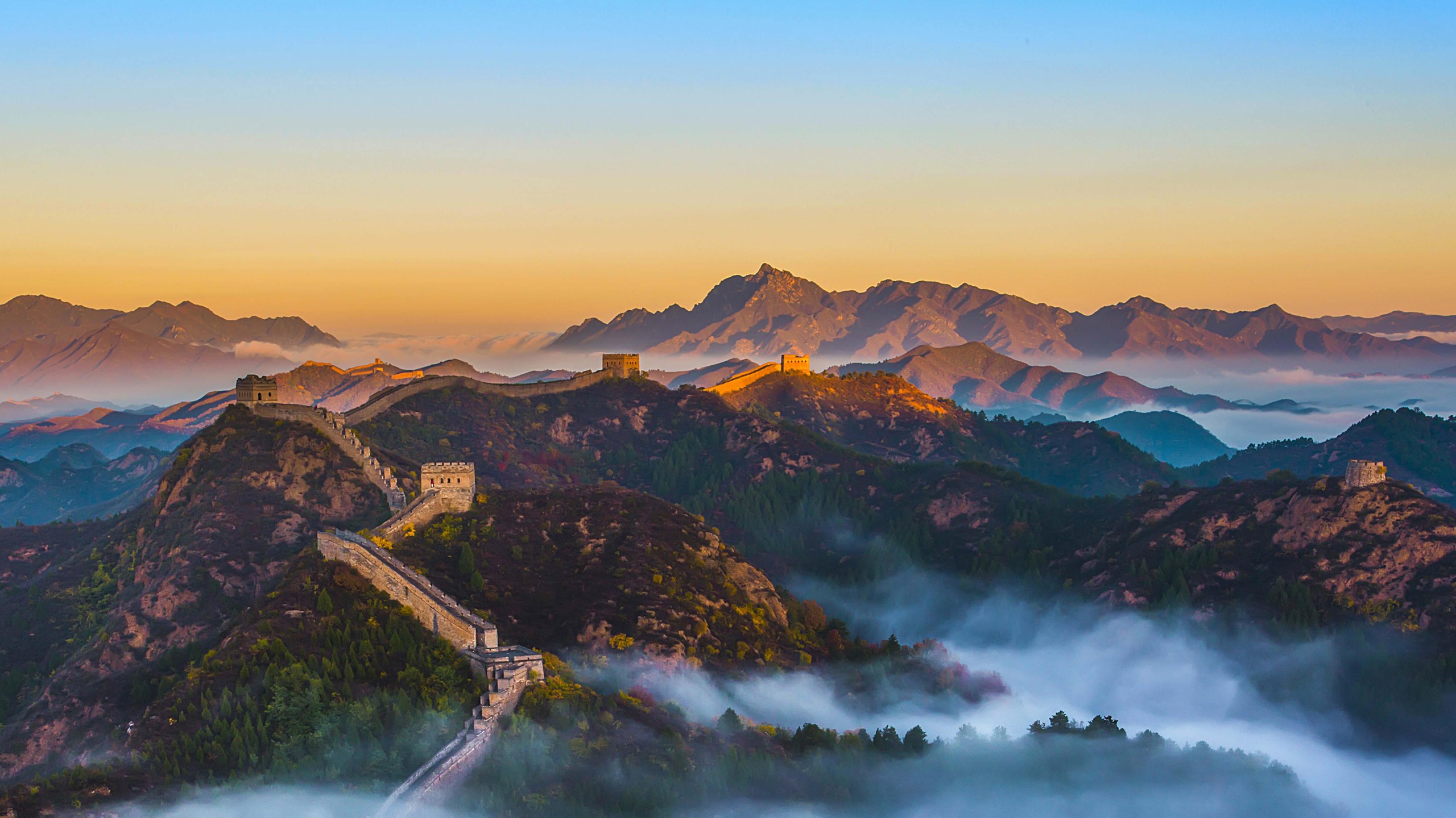 中国数字人文 | DHCN